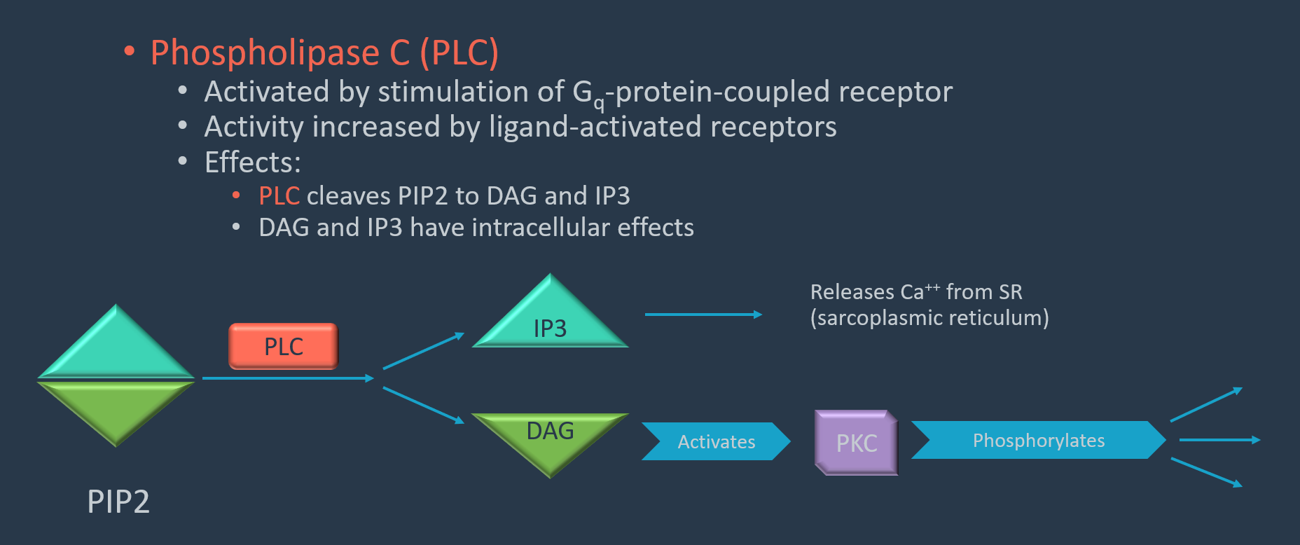 Drug-Receptor Interactions