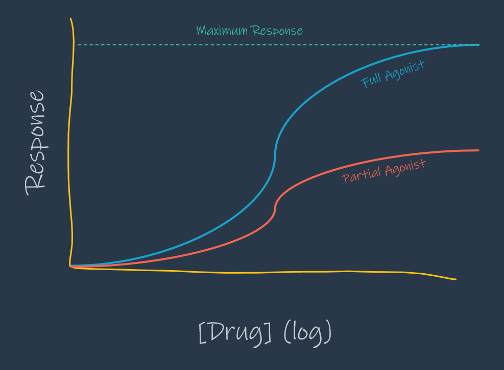 Dose-Response Relationship