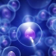 Stem Cells Made Simple Professionals